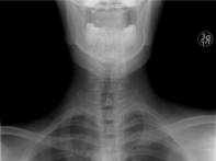 Nos prestations sur le secteur de Nîmes dans le Gard